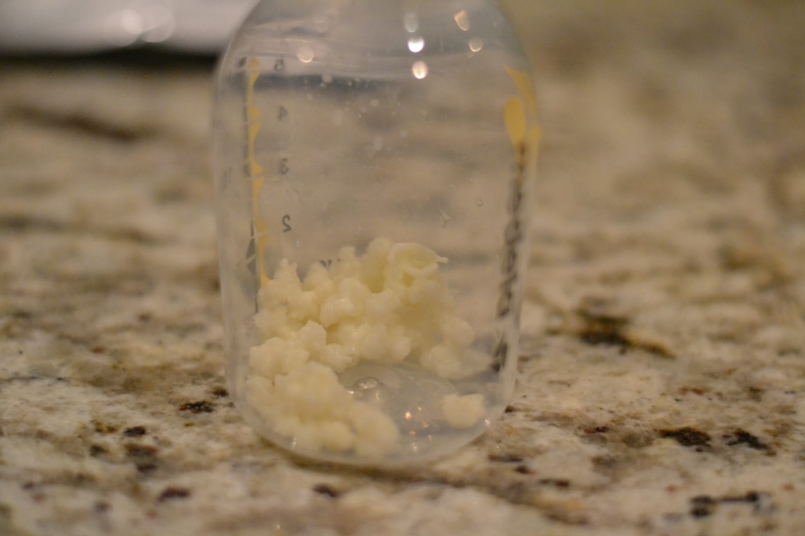 The last kefir grains I will ever put in a breast milk bottle.